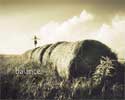 Thumbnail image for Vectra Bank folder featuring photo of a woman balancing on a haystack.
